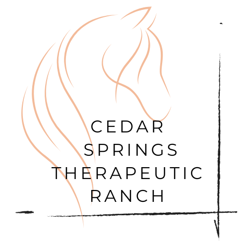 Cedar Springs Ranch